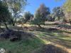 14275 Tuolumne Rd photo